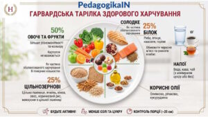 Тарілка правильного сбалансованого харчування -PedagogikaIN