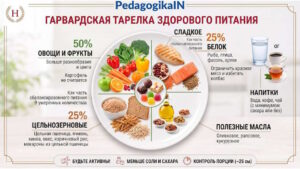Тарелка правильного сбалансированного питания -PedagogikaIN